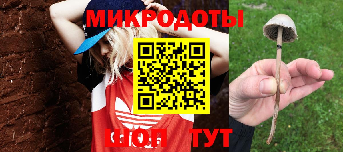 Псилоцибиновые грибы прущие грибы  Вход с VPN  Дмитров  наркотики  Псилоцибиновые грибы мицелий 