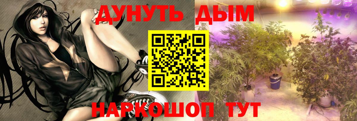 Бошки марихуана Bruce Banner  Бошки Шишки гибрид  Дмитров  Вход с VPN  Бошки Шишки план 